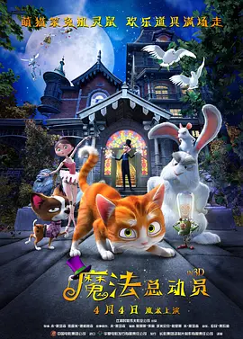 清晰在线播放观看